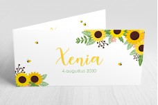 Zonnebloemen Zonnebloemen